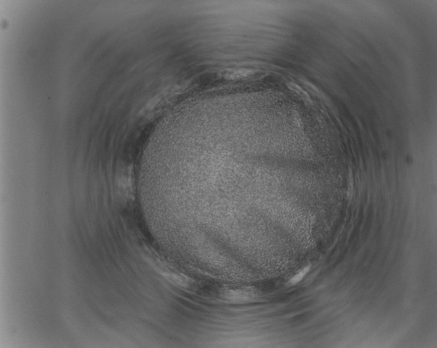 X0000066530510200603311823