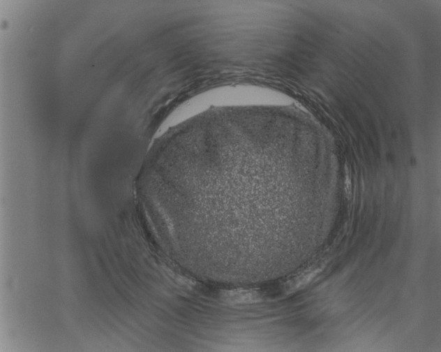 X0000066530511200603311823