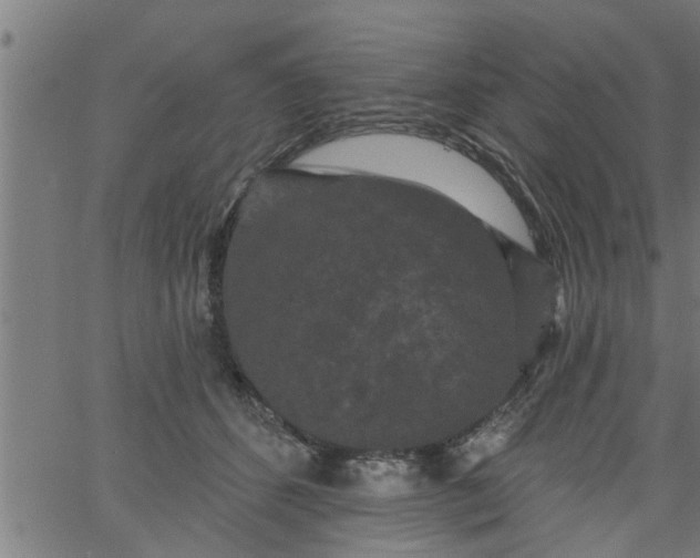 X0000066530512200603311823