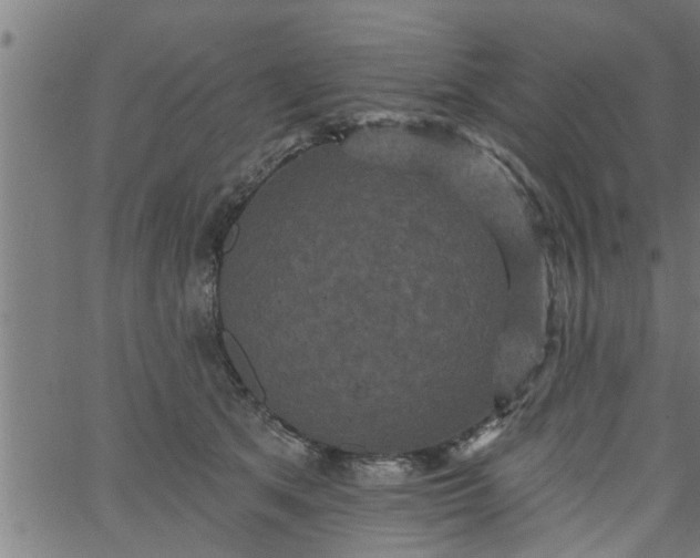 X0000066530513200603311823