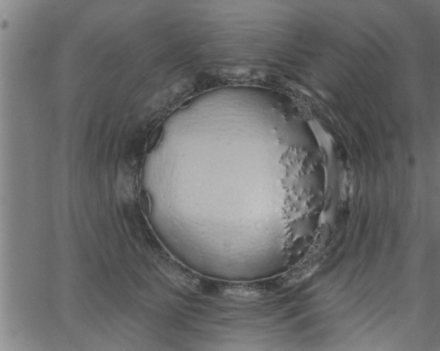 X0000066530515200603311823