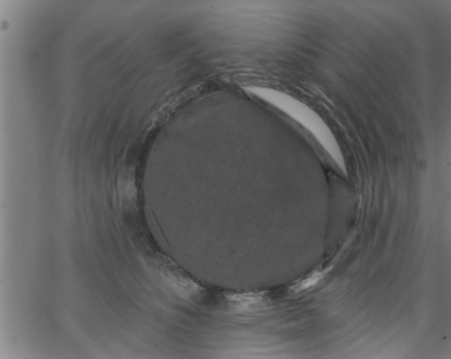 X0000066530516200603311823