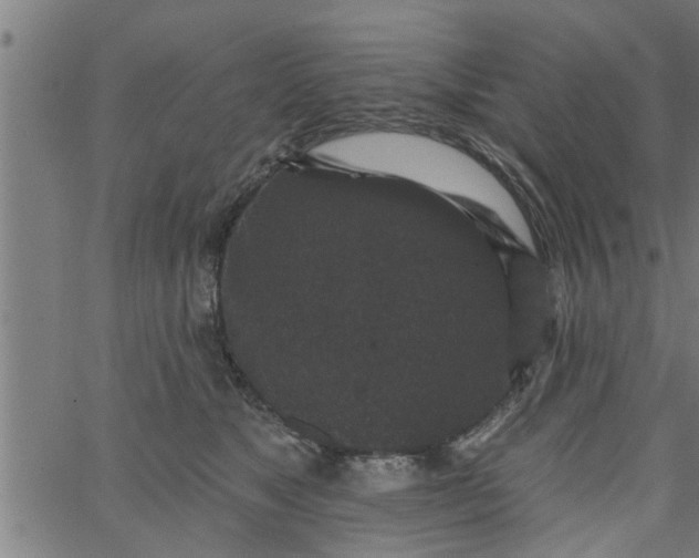 X0000066530517200603311823