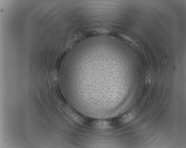 X0000066530518200603311823