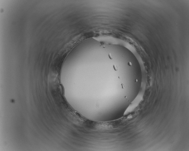 X0000066530521200603311823