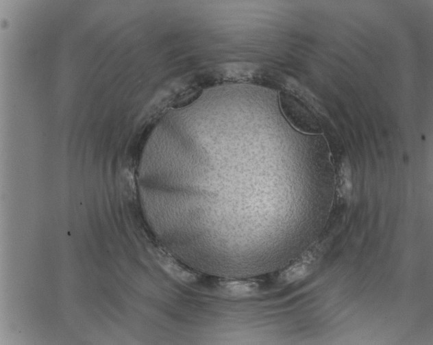 X0000066530522200603311823