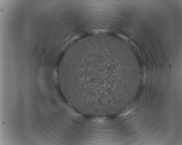 X0000066530523200603311823