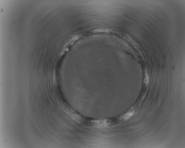 X0000066530524200603311823