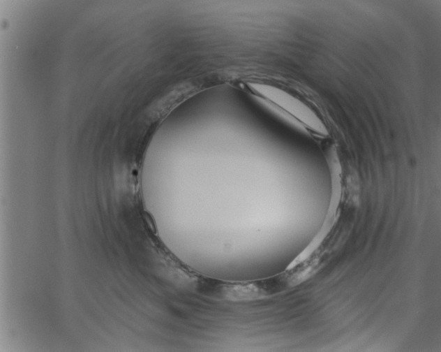 X0000066530525200603311823