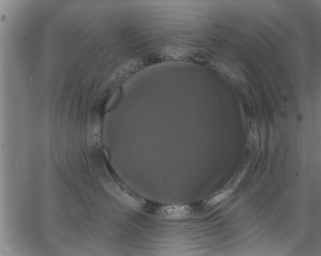 X0000066530526200603311823