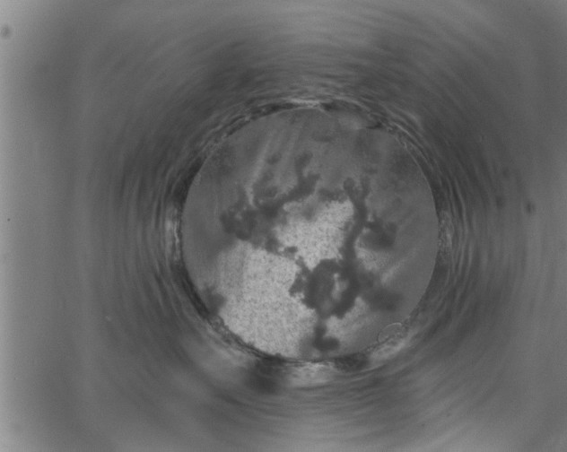 X0000066530527200603311823