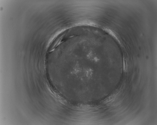 X0000066530531200603311822