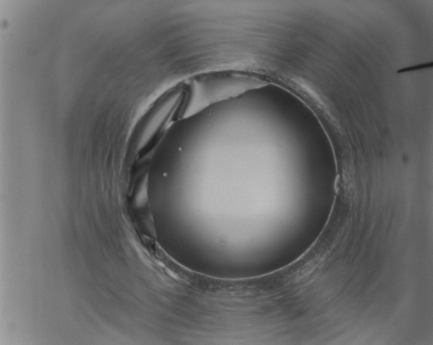 X0000066530532200603311822