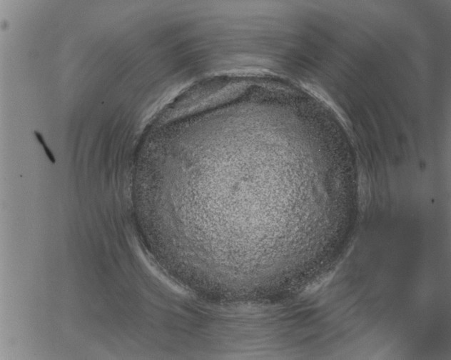 X0000066530533200603311822