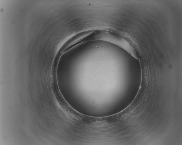 X0000066530536200603311822