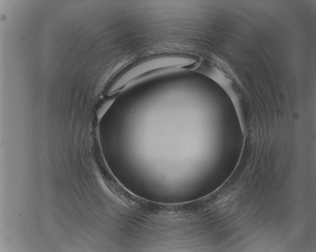 X0000066530538200603311822