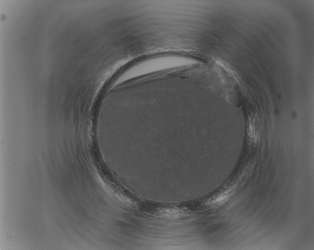 X0000066530540200603311822