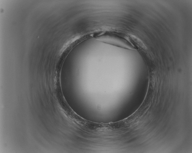 X0000066530544200603311822