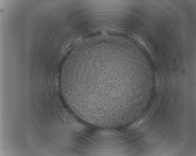 X0000066530545200603311822