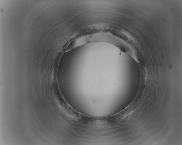 X0000066530546200603311822