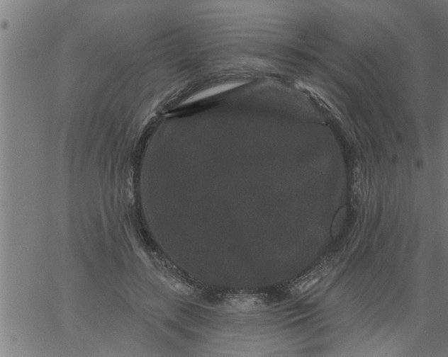 X0000066530547200603311822