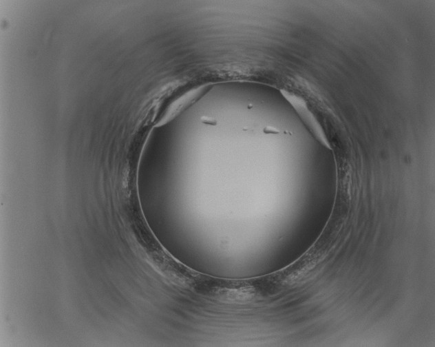 X0000066530548200603311822