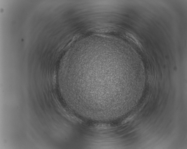 X0000066530549200603311822