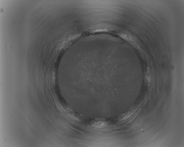 X0000066530551200603311822