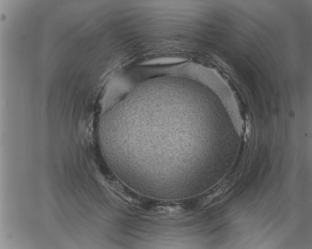 X0000066530552200603311823