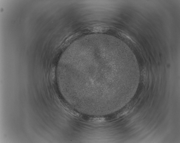 X0000066530554200603311823