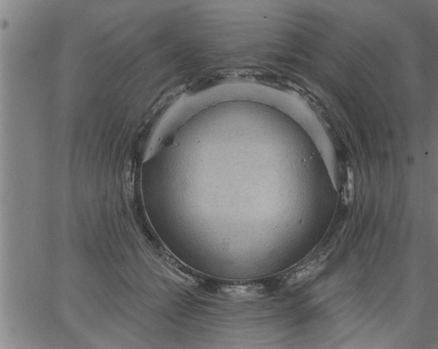 X0000066530558200603311823