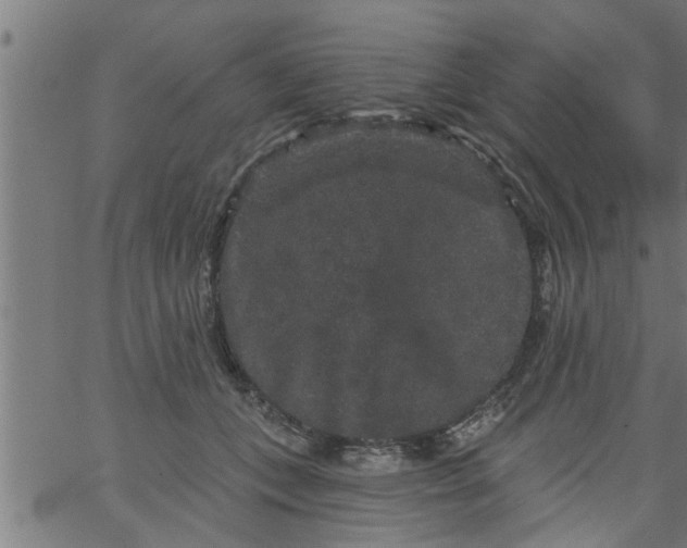 X0000066530559200603311823