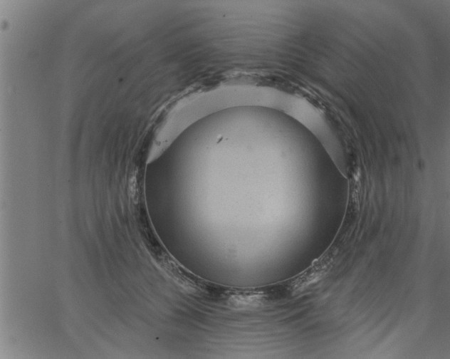 X0000066530560200603311823