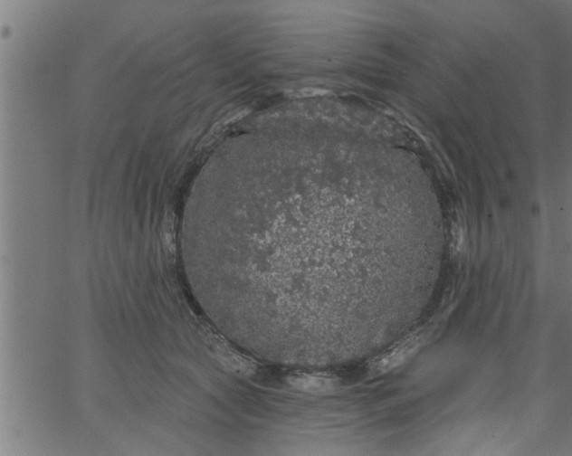 X0000066530561200603311823