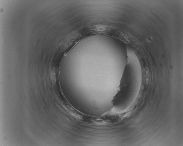 X0000066530562200603311823