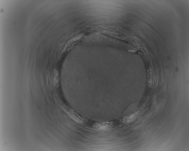 X0000066530563200603311823