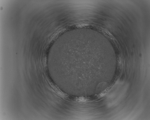 X0000066530565200603311823