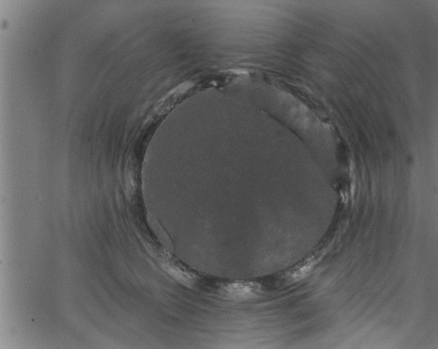 X0000066530566200603311823