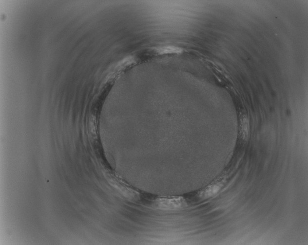 X0000066530571200603311823