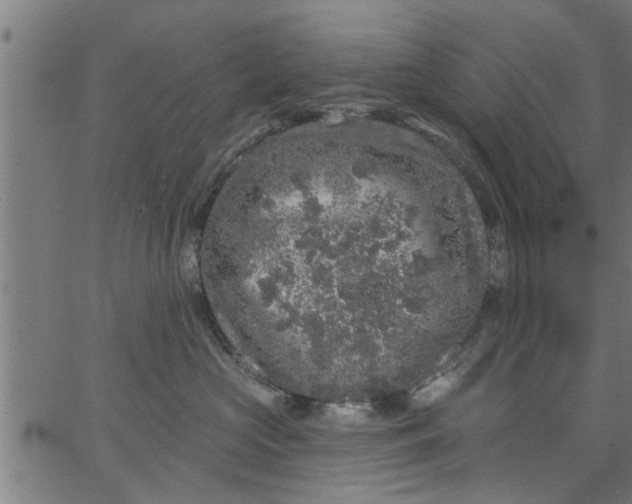 X0000066530573200603311823