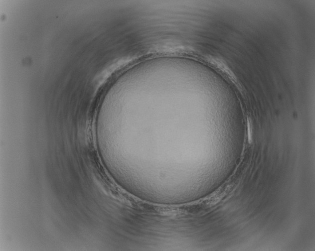 X0000066530579200603311822