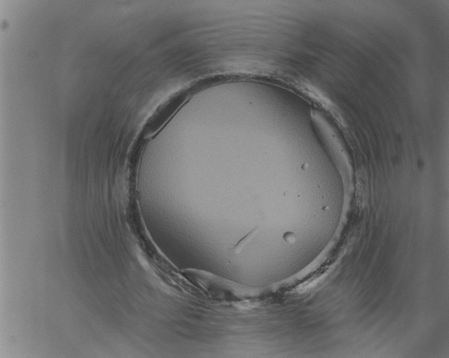 X0000066530580200603311822