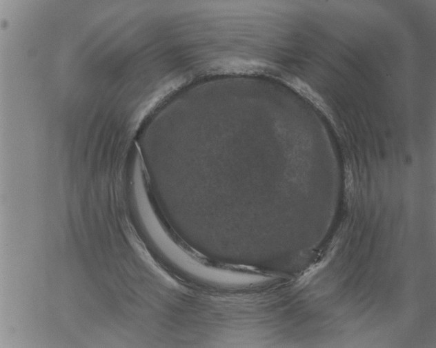 X0000066530581200603311822