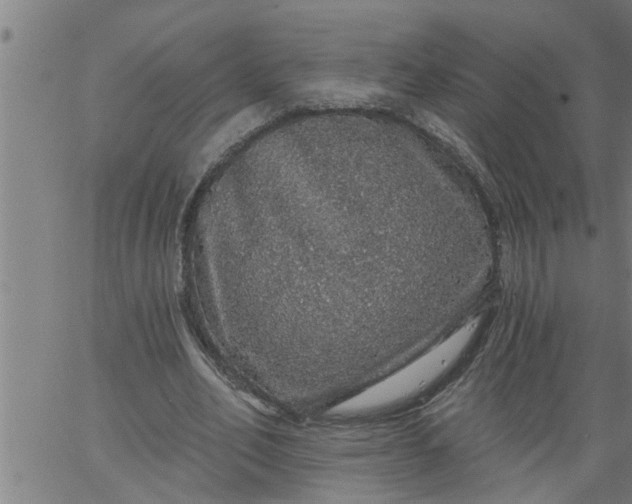 X0000066530582200603311822