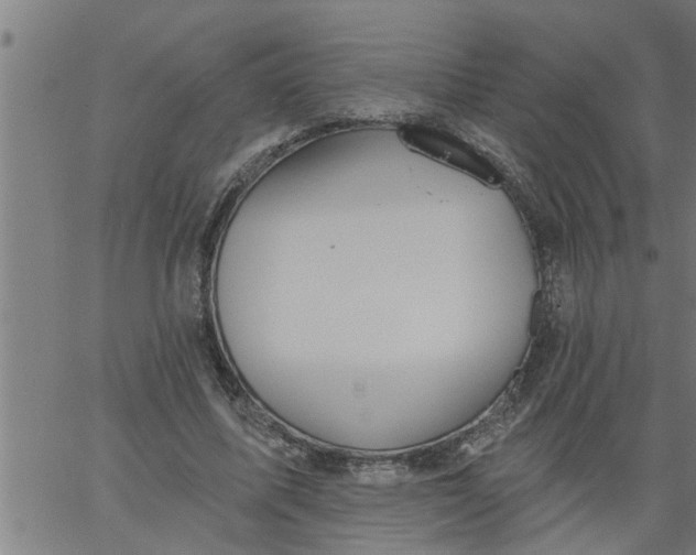 X0000066530587200603311822