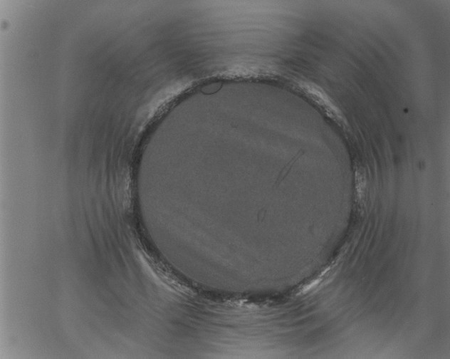 X0000066530588200603311822