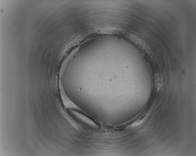 X0000066530589200603311822