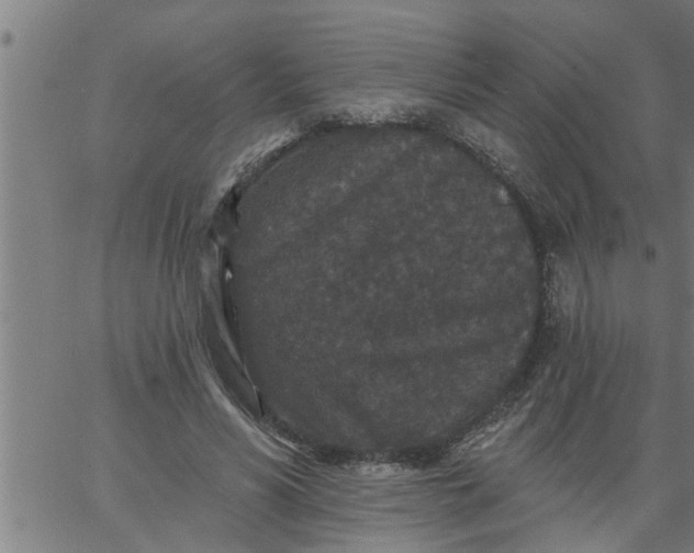 X0000066530590200603311822