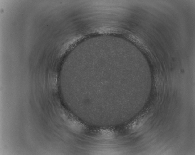 X0000066530592200603311822