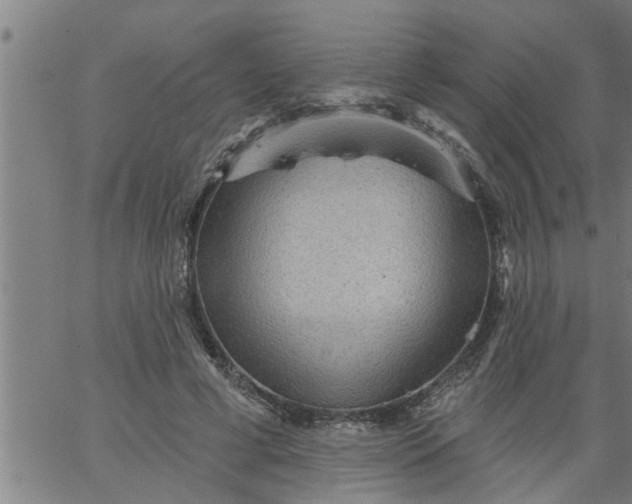 X0000066530593200603311822